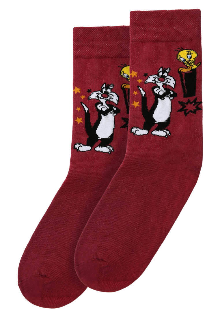 Warner Bros Best of Tweety and Sylvester Design- Dogo Socks